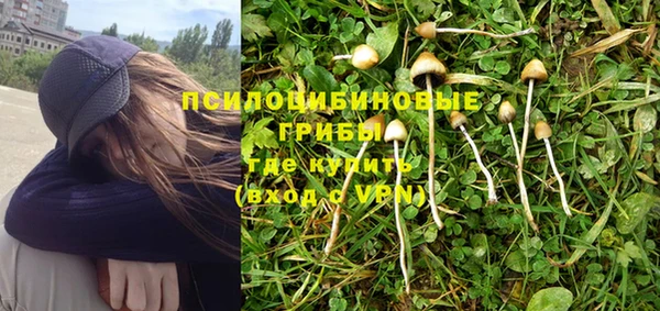 бошки Верхнеуральск