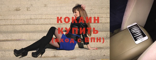 сатива Верхний Тагил