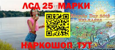 гашик Гатчина