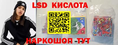 гашик Гатчина