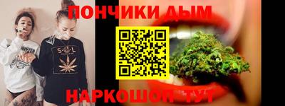 индика Гагарин