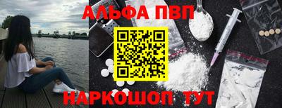 гашик Гатчина