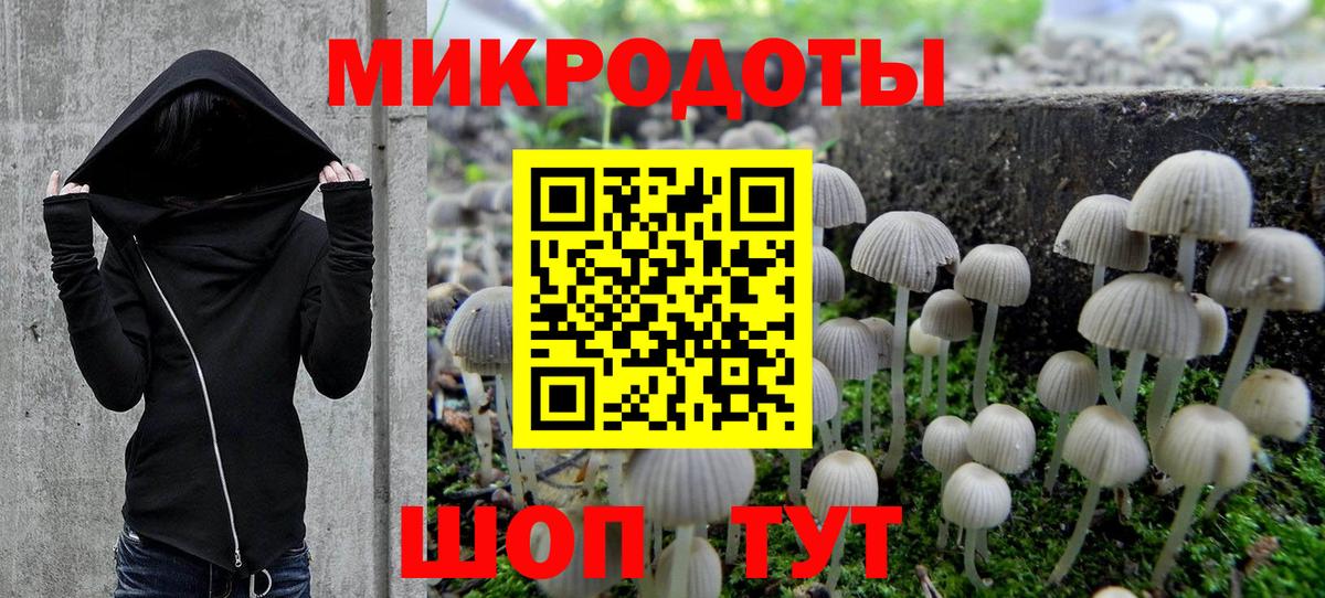 Псилоцибиновые грибы MAGIC MUSHROOMS Дубна