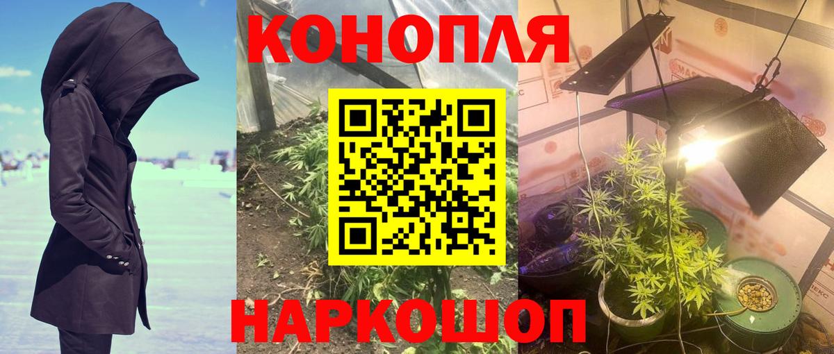 Конопля SATIVA & INDICA Дубна